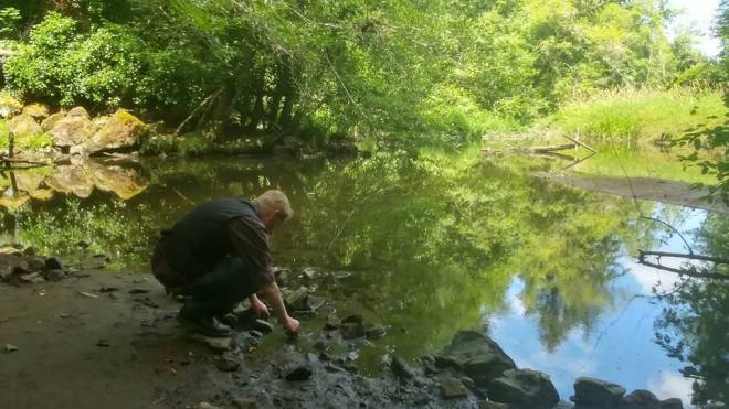 13592594_10153746574797157_3506433051470617094_n